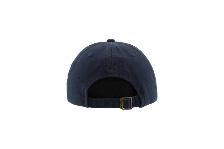 Scholarship W Logo Navy Hat