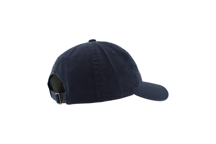 Scholarship W Logo Navy Hat